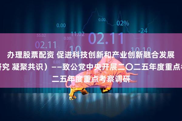 办理股票配资 促进科技创新和产业创新融合发展（调查研究 凝聚共识）——致公党中央开展二〇二五年度重点考察调研